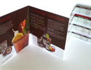 Demitris Brochure