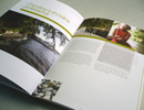 Green Shorelines interior spread