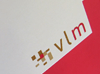 VLM Consulting