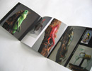 Coriander Koliana Brochure