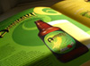 Aardvark Hard Cider
