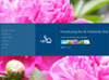 Air/Q Web Site