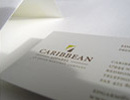 Caribbean Apparel Identity