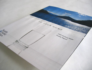 Coriander Koliana Brochure