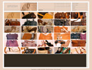 lefleshss07 Screenshot