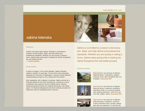 sabinatelenska consulting financial services
