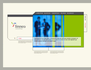Linneo Consulting