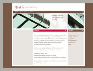 vlm consulting financial services